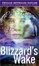 Cover of "Blizzard's Wake"