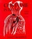 Cover of "Costume in Detail"