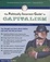 Cover of "The Politically Incorrect Guide"