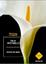 Cover of Evviva la neve