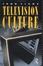 Cover of 'Television Culture'