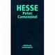 Cover of Peter Camenzind