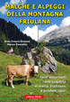 Cover of Malghe e alpeggi della montagna friulana