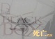 Cover of 死亡档案