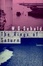 Cover of "The Rings of Saturn"