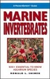 Cover of A PocketExpert Guide to Marine Invertebrates
