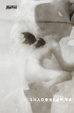 Cover of Shadowplay