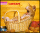 Cover of Catnaps