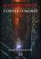 Cover of Maze Runner