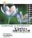 Cover of Elementary and Intermediate Algebra
