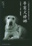 Image of 导盲犬娇娜