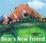 Cover of "Bear's New Friend"