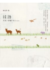More about 找路