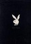 Cover of "The Playboy Book"