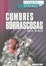 Image of Cumbres Borrascosas / Wuthering Heights