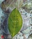 Cover of In riva al fiume