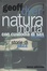 Cover of Natura morta con custodia di sax