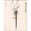 Cover of 清华四大导师