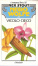 Cover of "Vicolo cieco"