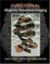 Cover of "Functional Magnetic Resonance Imaging"