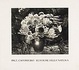 Cover of Paul Caponigro