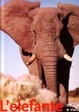 Cover of L' Elefante