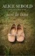 Cover of Casi la luna