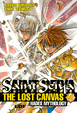 Cover of Saint Seiya, The Lost Canvas #23 (de 25)
