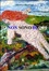 Cover of Io non sono di qui