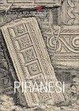 Cover of Giovanni Battista Piranesi