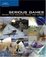 Cover of Serious Games