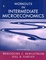 Cover of "Workouts in Intermediate Microeconomics"