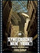 Cover of Synecdoche, New York
