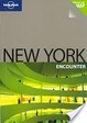 Cover of New York City Encounter
