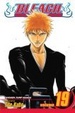 Cover of Bleach, Volume 19