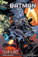 Cover of Batman: Vita dopo la morte