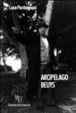 Cover of Arcipelago Beuys. Biografia e opere del grande artista tedesco Joseph Beuys
