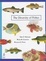 Cover of "The Diversity of Fishes"