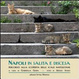 Cover of Napoli in salita e discesa. Percorso alla scoperta delle scale napoletane