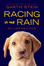 Cover of Racing in the Rain