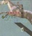 Cover of "英雄的胜利"