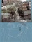 More about 靠窗的位子，光線剛好。