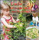 Cover of L'orto in cucina con i bambini