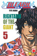 Cover of Bleach vol. 5