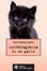 Cover of Autobiografia di un gatto