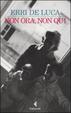Cover of Non ora, non qui