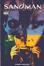 Cover of The Sandman n. 12