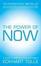 Cover of "The Power of Now"