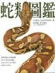 Cover of 蛇類圖鑑（全新美耐版）