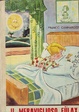 Cover of Il meraviglioso Fùlax